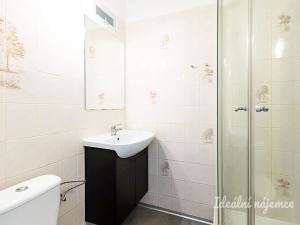Pronájem bytu 1+kk, Praha - Staré Město, Dlouhá, 30 m2