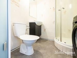Pronájem bytu 1+kk, Praha - Staré Město, Dlouhá, 30 m2