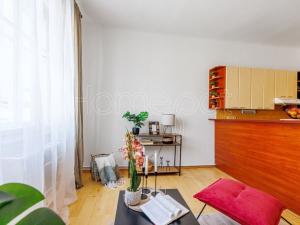 Pronájem bytu 1+kk, Praha - Záběhlice, Záběhlická, 26 m2