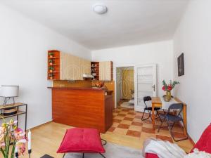 Pronájem bytu 1+kk, Praha - Záběhlice, Záběhlická, 26 m2