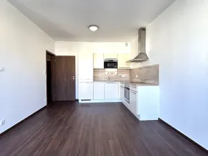 Pronájem bytu 1+kk, Praha - Hlubočepy, Hugo Haase, 51 m2