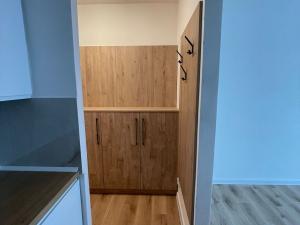 Prodej bytu 2+kk, Bílina, Litoměřická, 41 m2