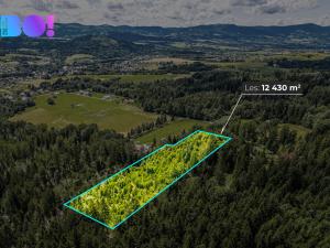 Prodej lesa, Písek, 12430 m2