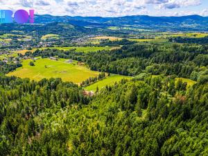 Prodej lesa, Písek, 12430 m2