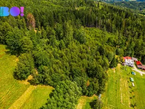 Prodej lesa, Písek, 12430 m2