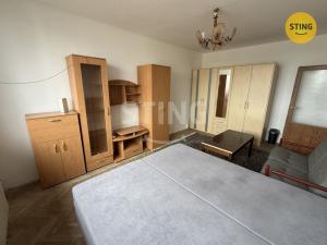 Pronájem bytu 1+1, Ostrava, Mánesova, 42 m2