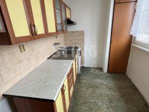 Pronájem bytu 1+1, Ostrava, Mánesova, 42 m2
