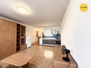 Pronájem bytu 1+kk, Ostrava, Jana Maluchy, 32 m2