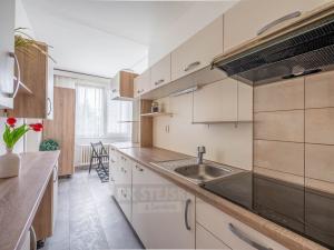 Prodej bytu 2+1, České Budějovice - České Budějovice 3, Kostelní, 62 m2