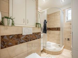 Prodej bytu 2+1, České Budějovice - České Budějovice 3, Kostelní, 62 m2