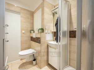 Prodej bytu 2+1, České Budějovice - České Budějovice 3, Kostelní, 62 m2