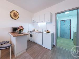 Pronájem bytu 1+kk, Ostrava - Moravská Ostrava, Gen. Píky, 28 m2