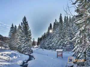 Prodej bytu 2+kk, Harrachov, 48 m2