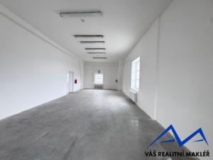 Pronájem skladu, Ostrava, Výhledy, 240 m2