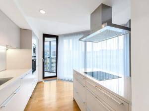 Pronájem bytu 2+kk, Praha - Žižkov, Pitterova, 100 m2