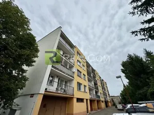 Pronájem bytu 2+kk, Pečky, V Horkách, 46 m2