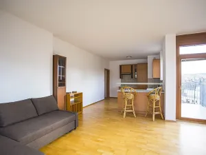 Pronájem bytu 1+kk, Praha - Smíchov, Na Císařce, 45 m2