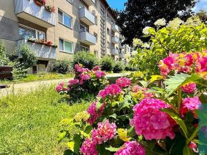 Prodej bytu 3+1, Kojetín, Nová, 100 m2