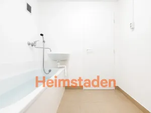 Pronájem bytu 1+1, Ostrava - Mariánské Hory, Zelená, 38 m2