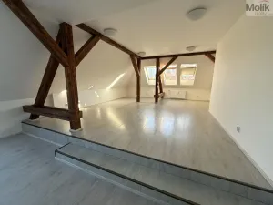 Pronájem bytu 3+1, Most, Čsl. armády, 110 m2