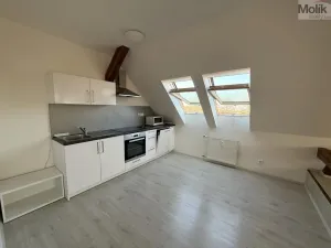 Pronájem bytu 3+1, Most, Čsl. armády, 110 m2