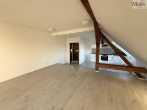 Pronájem bytu 3+1, Most, Čsl. armády, 110 m2