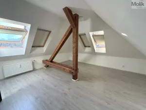 Pronájem bytu 3+1, Most, Čsl. armády, 110 m2