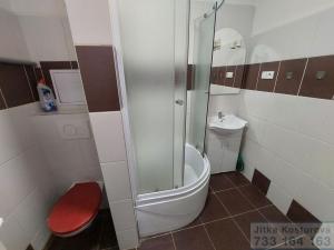 Pronájem bytu 1+1, Krnov - Pod Cvilínem, Svatováclavská, 45 m2
