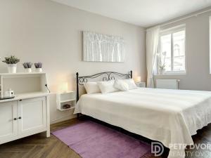 Pronájem bytu 3+kk, Praha - Vinohrady, Záhřebská, 68 m2