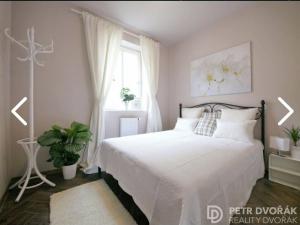 Pronájem bytu 3+kk, Praha - Vinohrady, Záhřebská, 68 m2