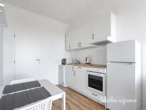 Pronájem bytu 1+kk, Praha - Kyje, Za černým mostem, 24 m2