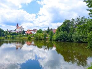 Prodej bytu 1+1, Nová Cerekev, 35 m2