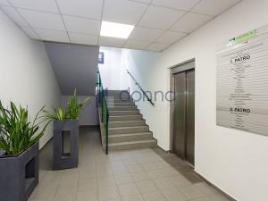 Pronájem kanceláře, Praha, Jana Růžičky, 38 m2