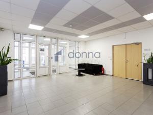 Pronájem kanceláře, Praha, Jana Růžičky, 42 m2