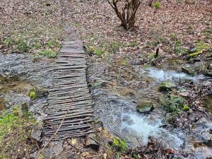 Prodej chaty, Borotice, 26 m2