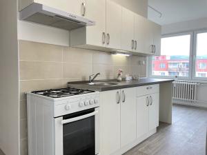 Pronájem bytu 3+1, Litvínov, Čapkova, 68 m2