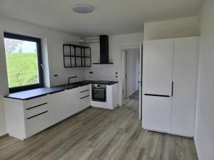 Pronájem bytu 1+kk, Brno, Havraní, 40 m2