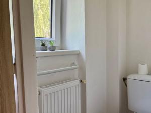 Pronájem bytu 2+1, Lubenec, Karlovarská, 58 m2