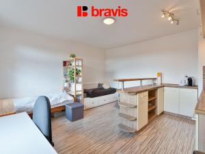 Pronájem bytu 1+kk, Brno - Trnitá, Křenová, 29 m2