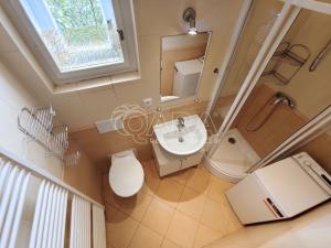 Pronájem bytu 2+kk, Praha - Vinohrady, Květná, 45 m2