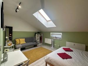 Prodej bytu 1+kk, Brno, Cejl, 24 m2