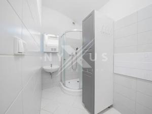 Pronájem atypického bytu, Praha - Vinohrady, Mánesova, 42 m2