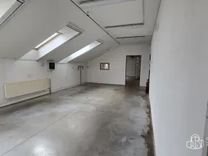 Pronájem obchodního prostoru, Sokolov, Trocnovská, 876 m2