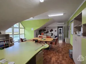 Pronájem obchodního prostoru, Sokolov, Trocnovská, 876 m2