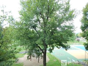 Prodej bytu 3+1, Litvínov - Horní Litvínov, Čapkova, 80 m2
