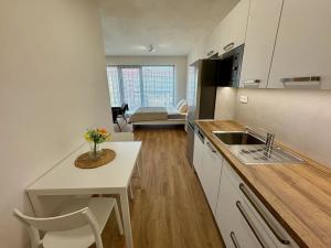 Pronájem bytu 1+kk, Brno, Lidická, 41 m2