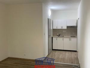 Pronájem bytu 1+kk, Kaplice, Linecká, 28 m2