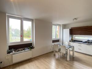 Pronájem bytu 1+kk, Plzeň - Severní Předměstí, Kotíkovská, 37 m2