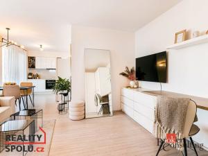 Pronájem bytu 1+kk, Brno, Reissigova, 43 m2