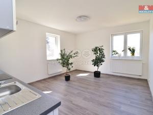 Pronájem bytu 2+1, Nejdek, Chodovská, 65 m2